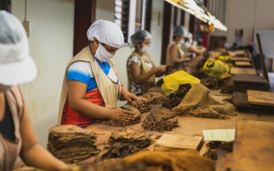 Beyond Compliance: How to Embed Gender Equality in Your Supply Chain Strategy