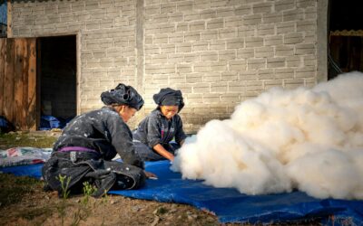 Sectors with high risks of gender inequality