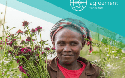 International Responsible Business Conduct (IRBC) – The IRBC Floriculture Sector Roadmap