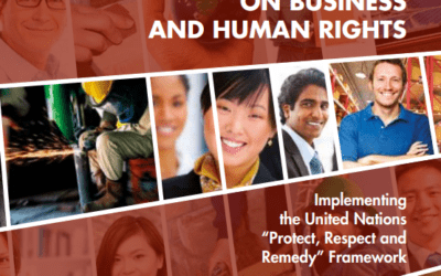 United Nations Human Rights Special Procedures (OHCHR) – Guiding Principles on Business and Human Rights