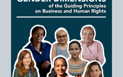 United Nations Human Rights Special Procedures (OHCHR) – Gender Dimension of the Guiding Principles on Business and Human Rights