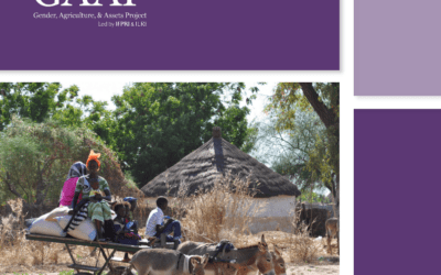 Gender, Agriculture and Assets Project – Reducing the Gender Asset Gap Through Agricultural Development
