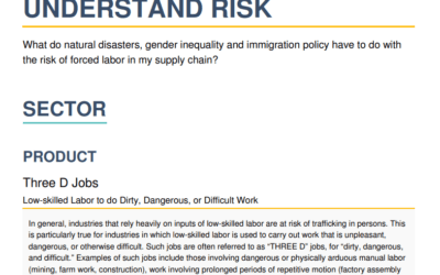 Responsible Sourcing Tool – Understand Risk