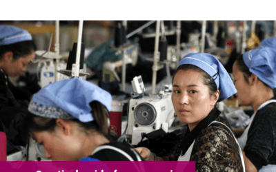 Social and Economic Council (SER) – Practical Guide for companies on IRBC and OECD due diligence