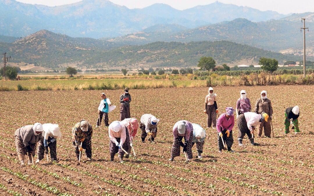 Advancing Equality: Public-Private Partnerships at Scale