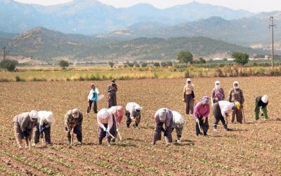 Advancing Equality: Public-Private Partnerships at Scale