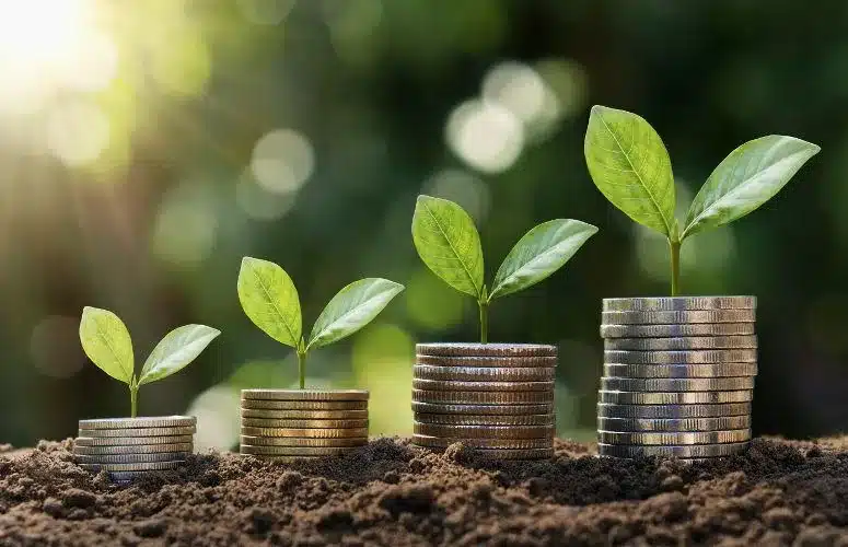 she supplies why business growth
